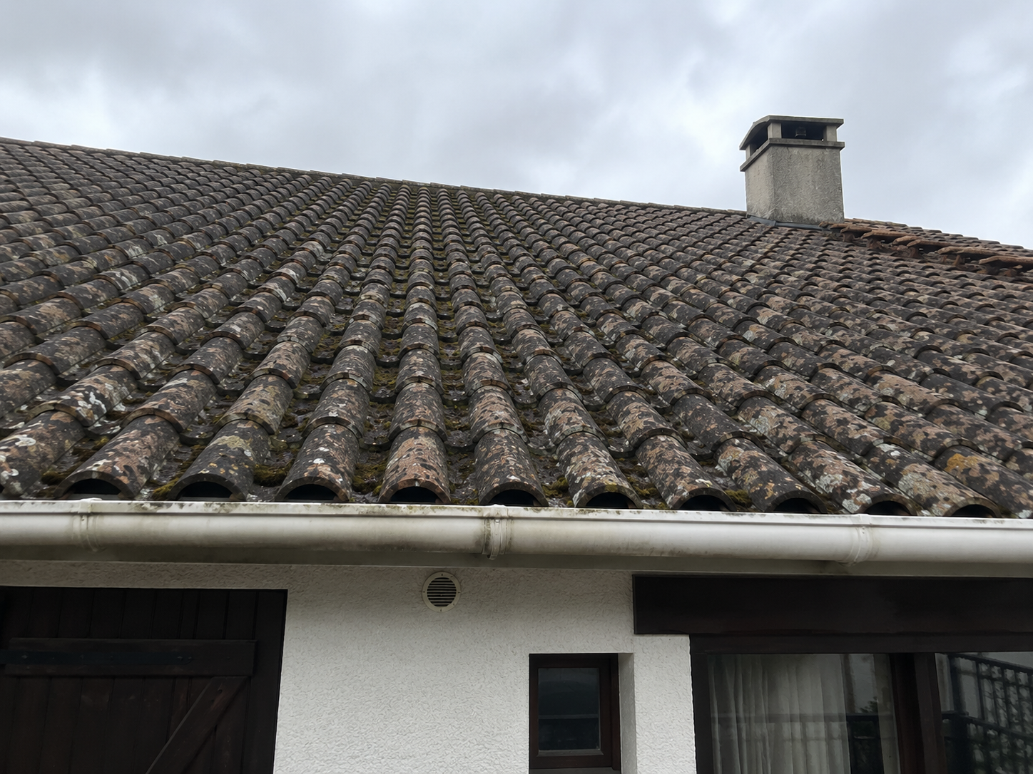 Démoussage avant travaux